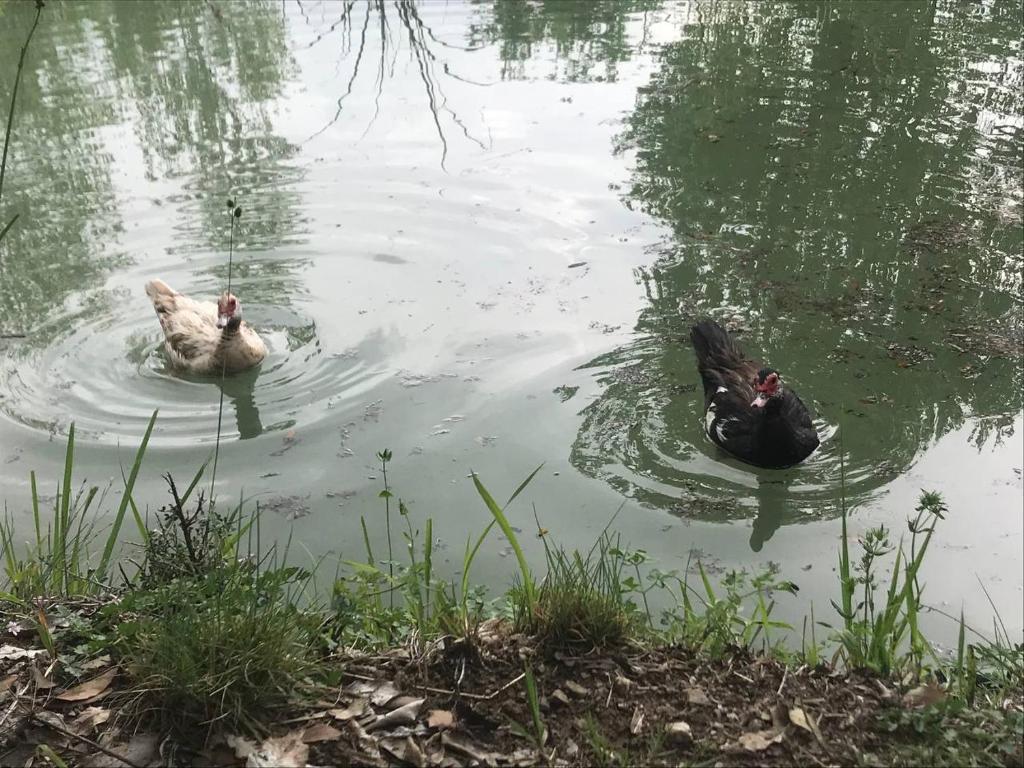 Výhled na řeku, která protéká v blízkosti farmy