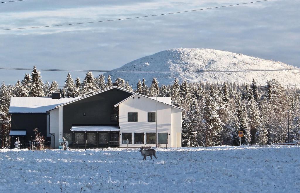 uma casa na neve com um cão à frente dela em Lapland Happiness Skistar 201 em Äkäslompolo