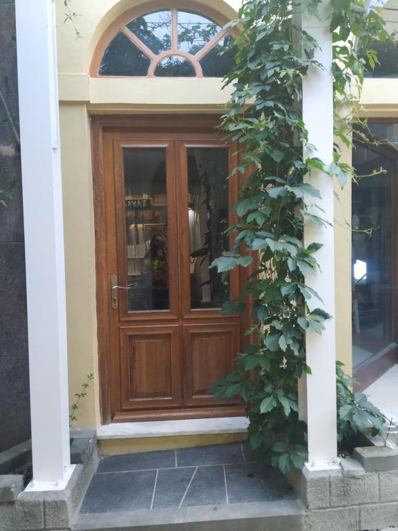 uma porta de madeira num edifício com plantas em KASTRO APARTMENTS em Myrina