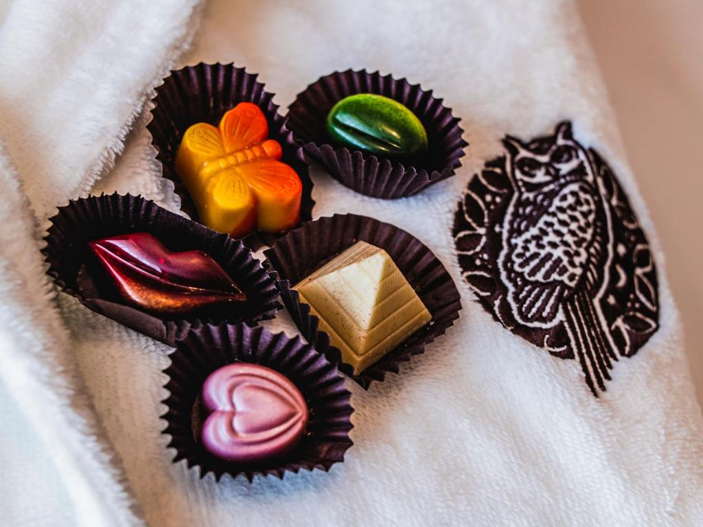 Rezydencja Sowa - Resim 21