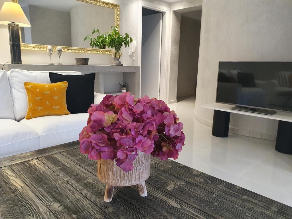 TV a/nebo společenská místnost v ubytování Dioni Luxury House