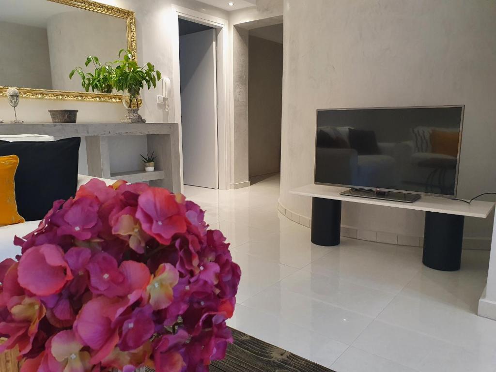 TV a/nebo společenská místnost v ubytování Dioni Luxury House