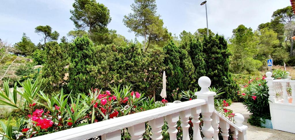 a white fence in front of a garden with pink flowers at Granada Apartments Familiar Deluxe in Portinatx