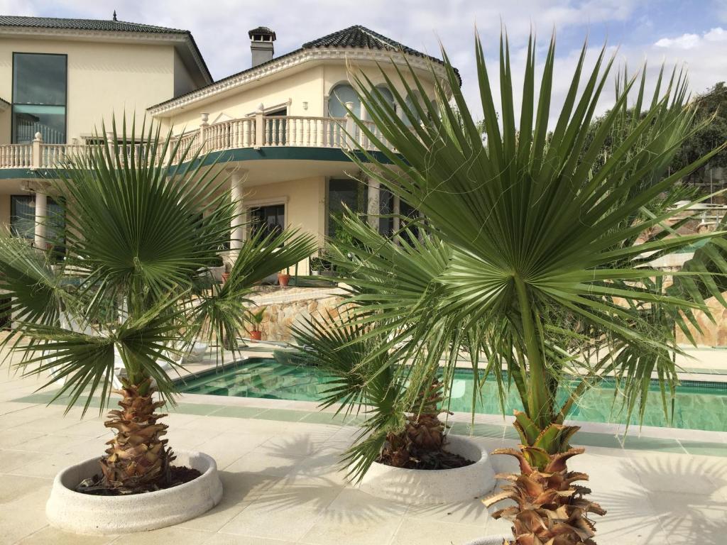 Bazén v ubytovaní La Casa del Tejado Verde Toledo alebo v jeho blízkosti