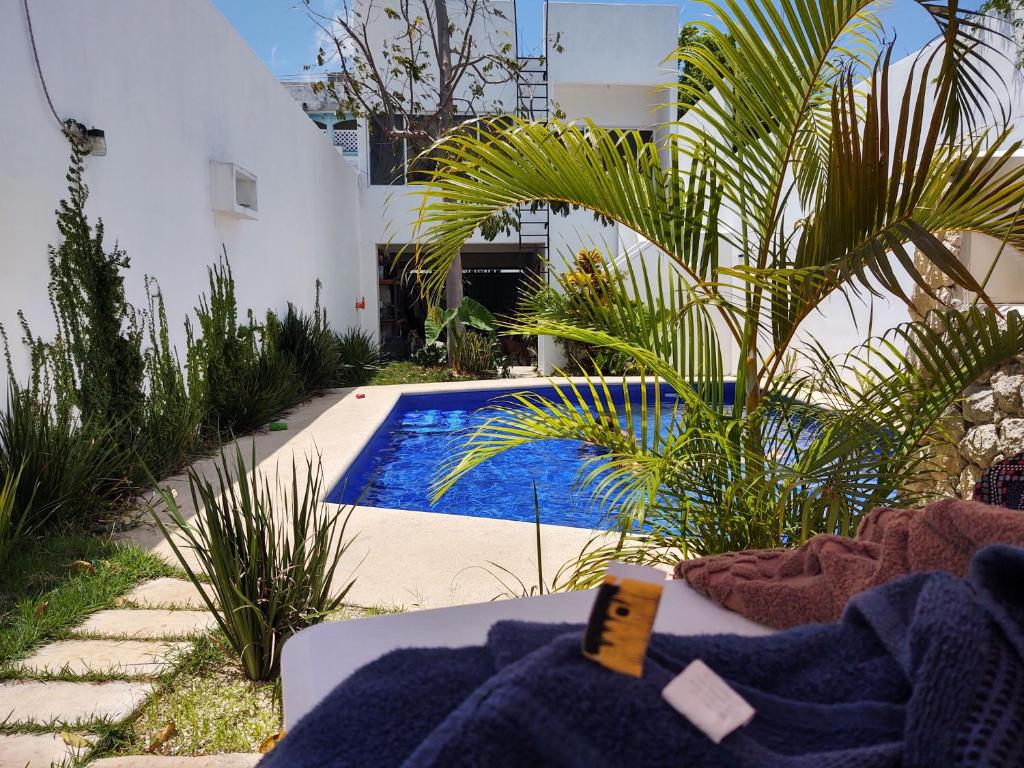 uma piscina ao lado de um edifício com uma palmeira em Casa Gekos Cuijas em Cancún