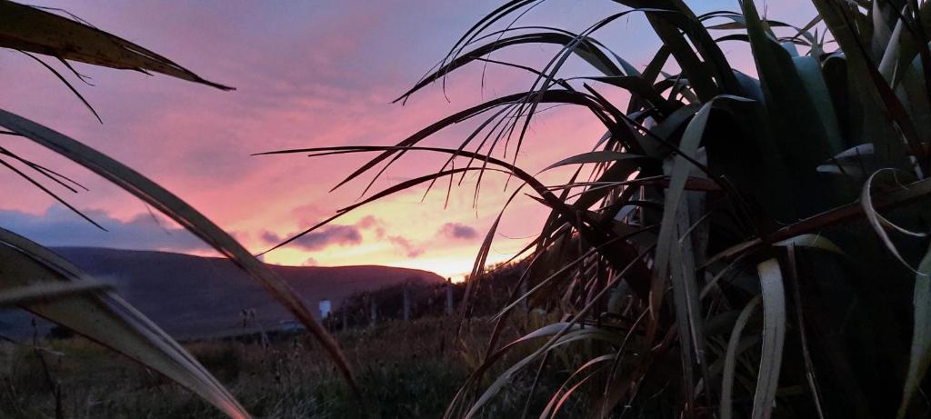 a sunset in a field with mountains in the background at Creevagh (Room Only) in Keel