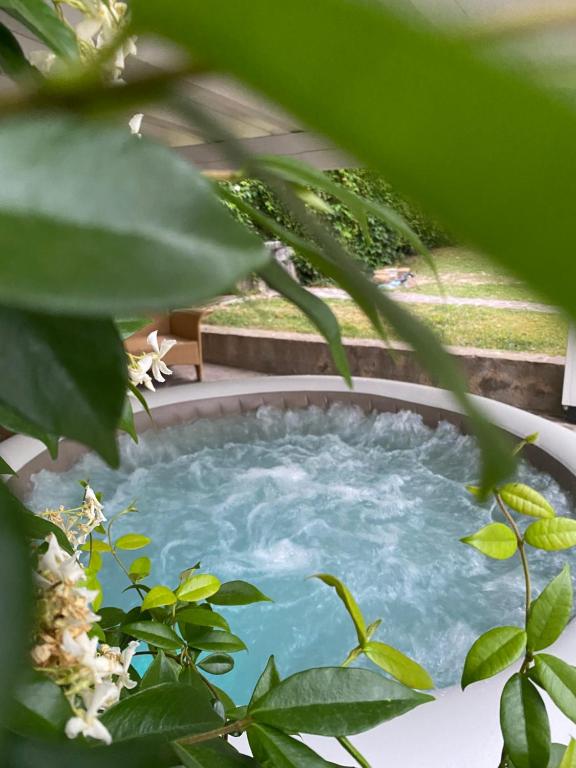 uma banheira de hidromassagem com água azul num jardim em Welcome Traveller LEA APARTMENTS em Garda
