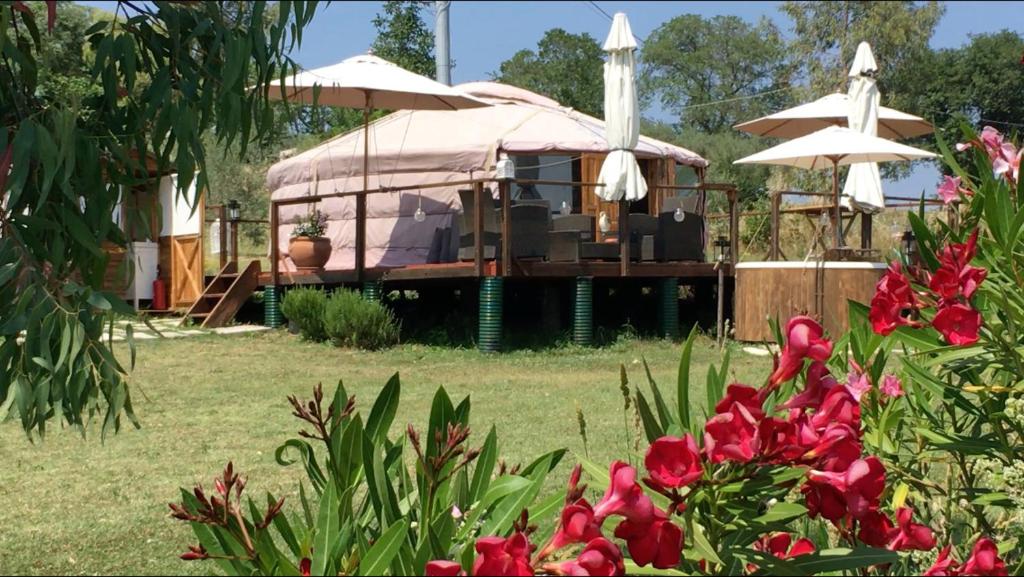 a yurt with umbrellas and flowers in a yard at Glamping Abruzzo - The Yurt in Catignano