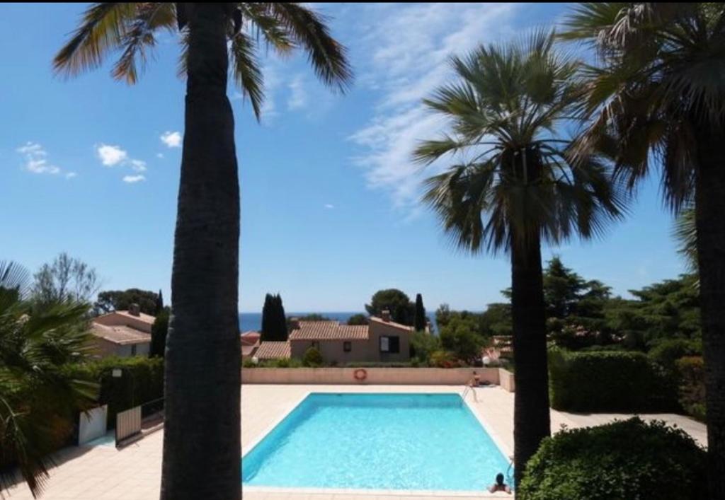 a swimming pool with palm trees in front of a house at BALI in La Ciotat