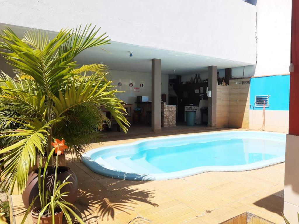 a swimming pool with a palm tree next to a building at AP mobiliado em Guaibim in Guaibim