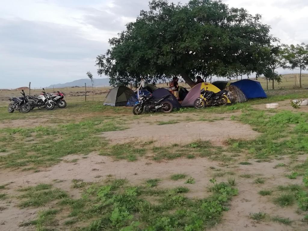 eine Gruppe von Motorrädern, die unter einem Baum neben Zelten geparkt werden in der Unterkunft Pachingo la primavera in San Francisco