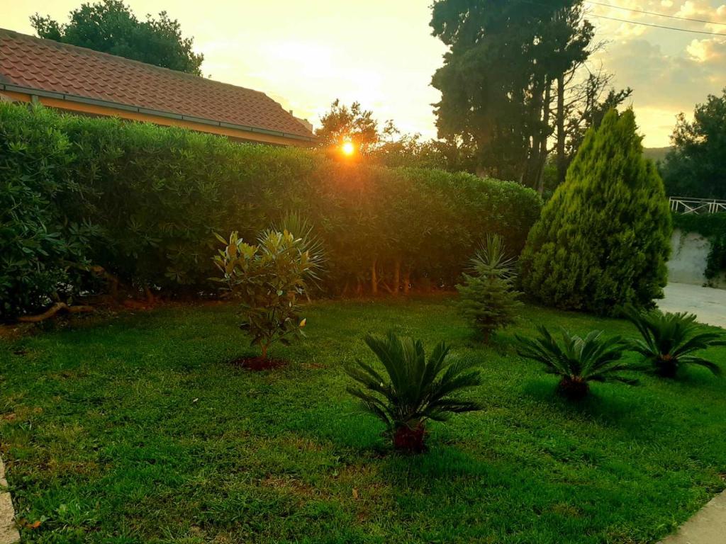 a yard with plants in the grass with the sunset at Apolon Apart in Bar, Susanj