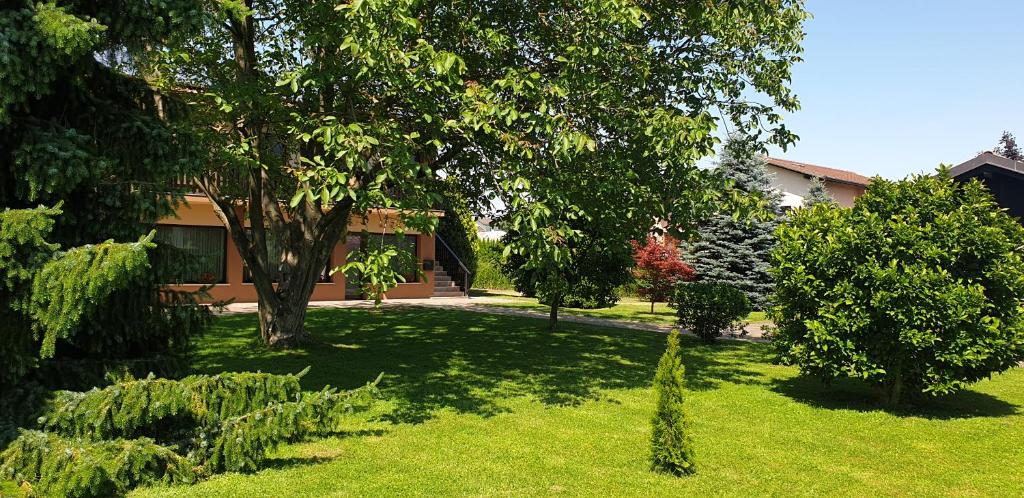 Zahrada ubytování Apartments AD Radenci