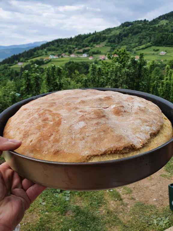 Grandfather's place Budevice - 11