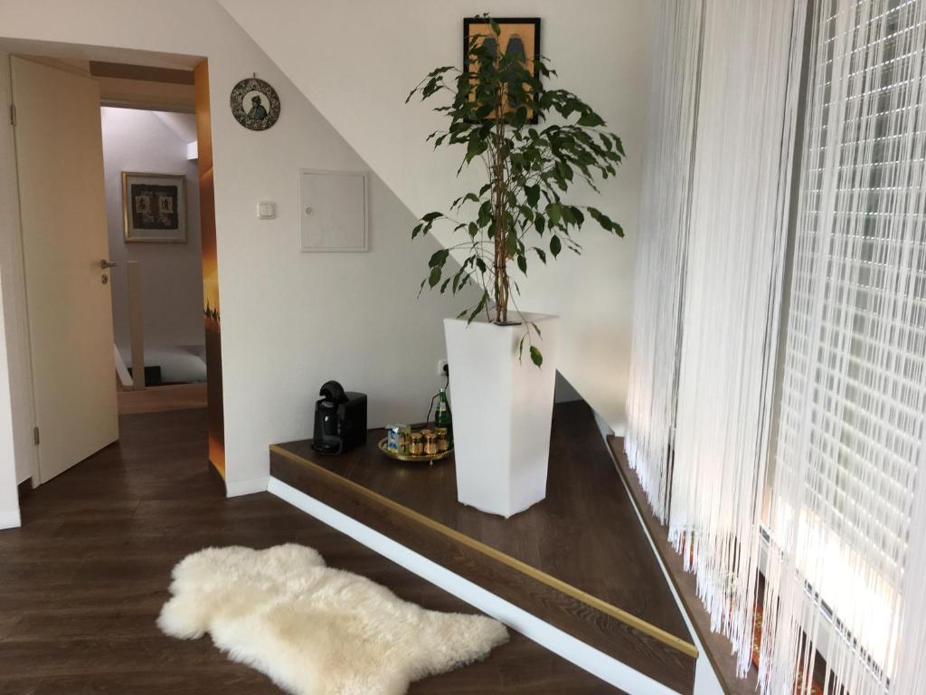 Fotografie z fotogalerie ubytování Gästehaus Köhler v destinaci Waldsolms