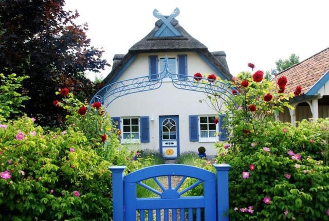 a blue bench in front of a house with flowers at Möwennest in Am Schwarzen Busch