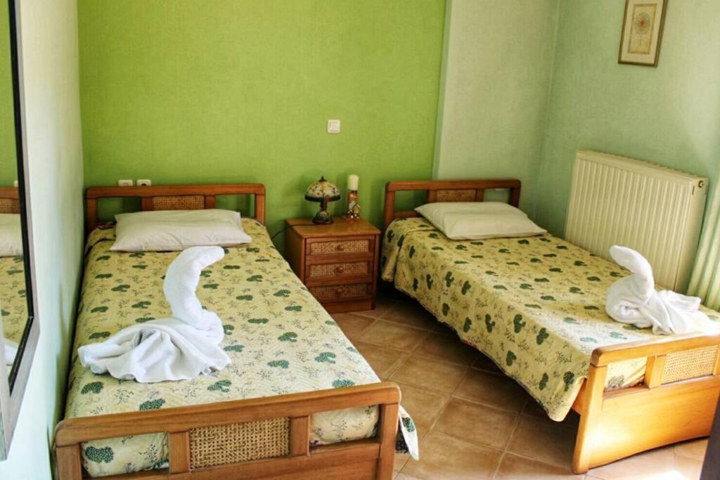 Booking.com: Viktoria's apartment in the center of Parga , Πάργα, Ελλάδα -  33 Σχόλια επισκεπτών . Κάντε κράτηση ξενοδοχείου τώρα!