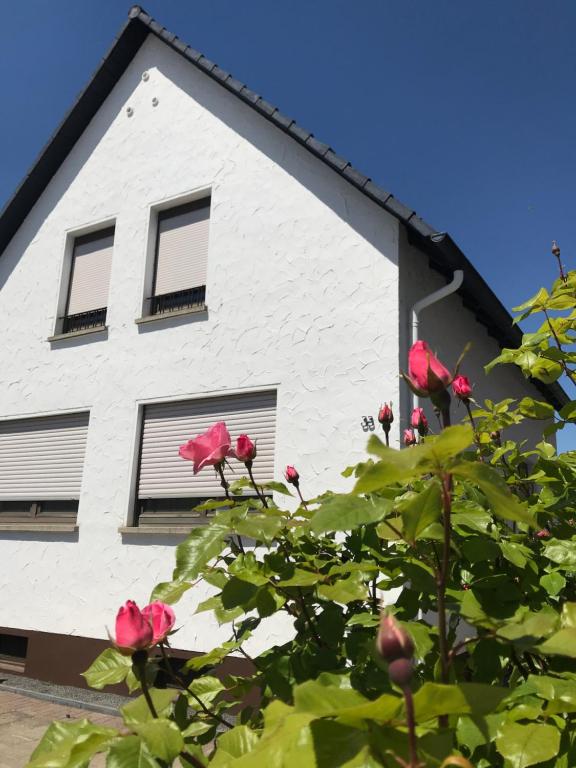 una casa blanca con ventanas y un árbol con rosas en Ferienhaus Riesling en Haßloch