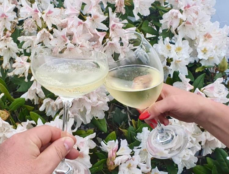 Nápoje v ubytování Ferienhaus Riesling