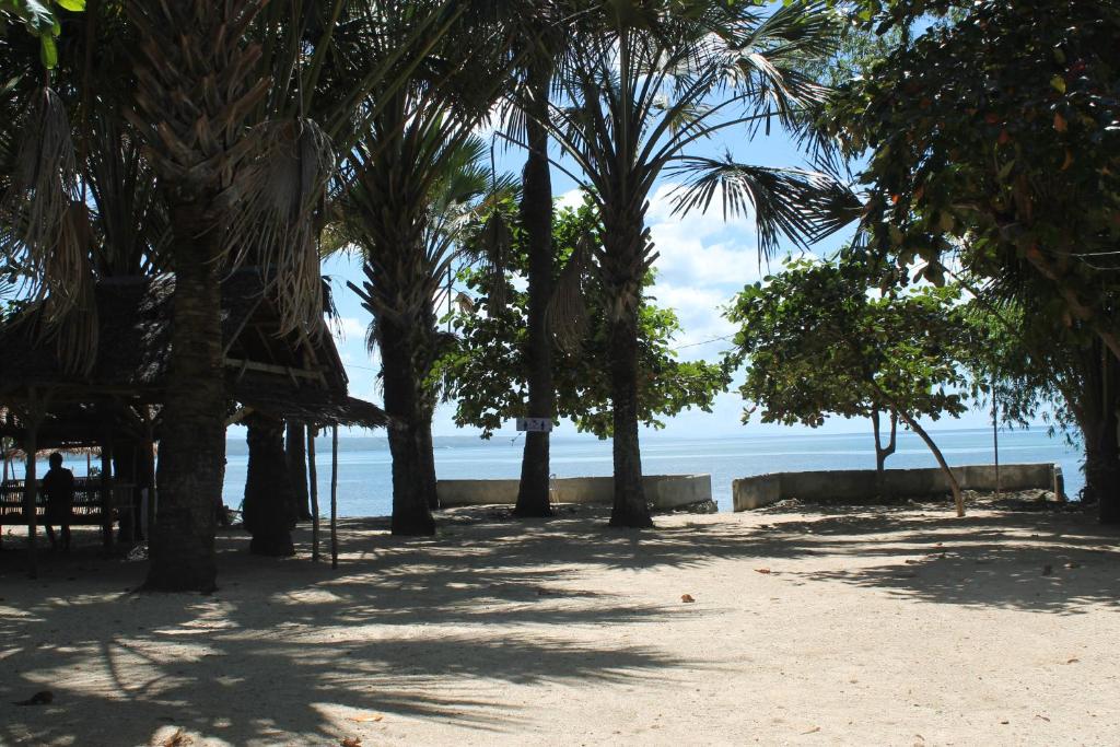 a beach with trees and the ocean in the background at J & C Beach Resort in San Remigio