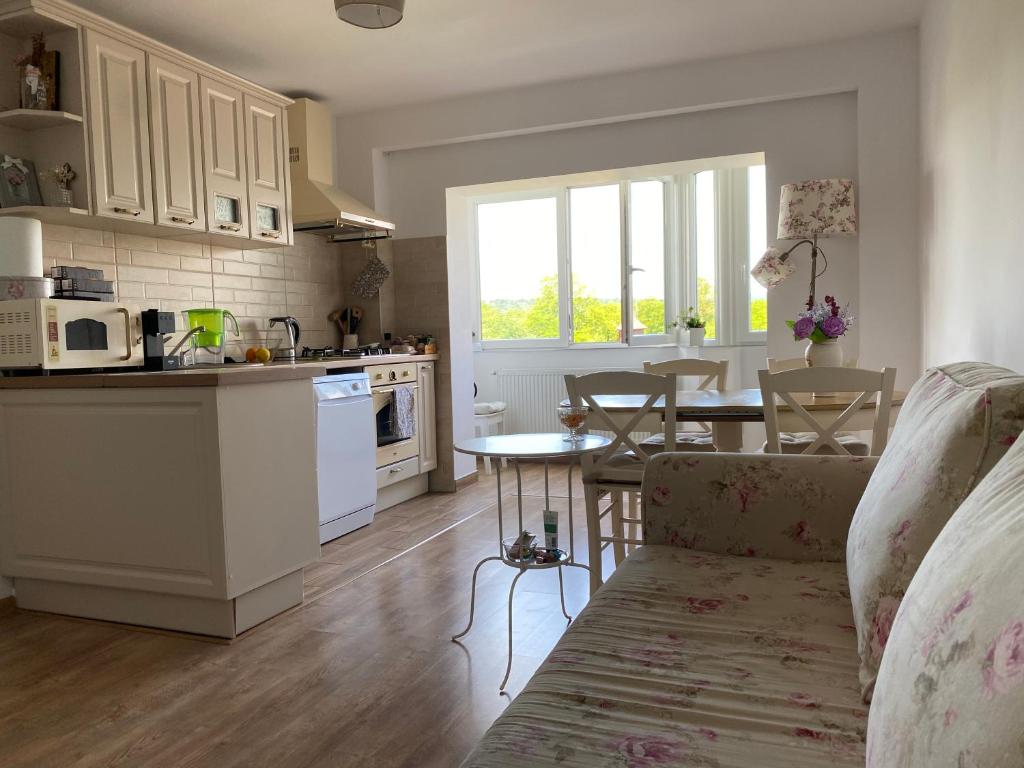 a kitchen and living room with a couch and a table at Rose Peony in Cluj-Napoca