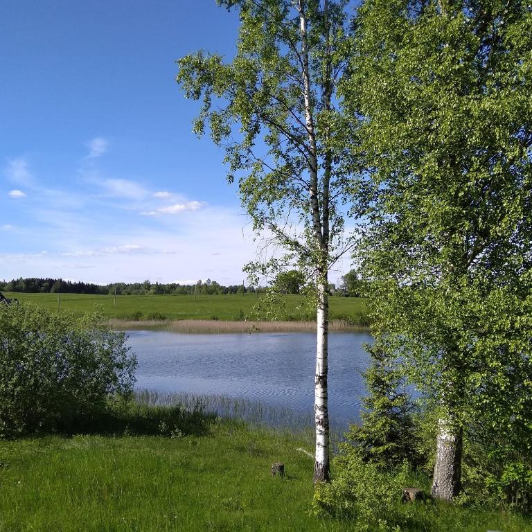 Příroda nedaleko kempu