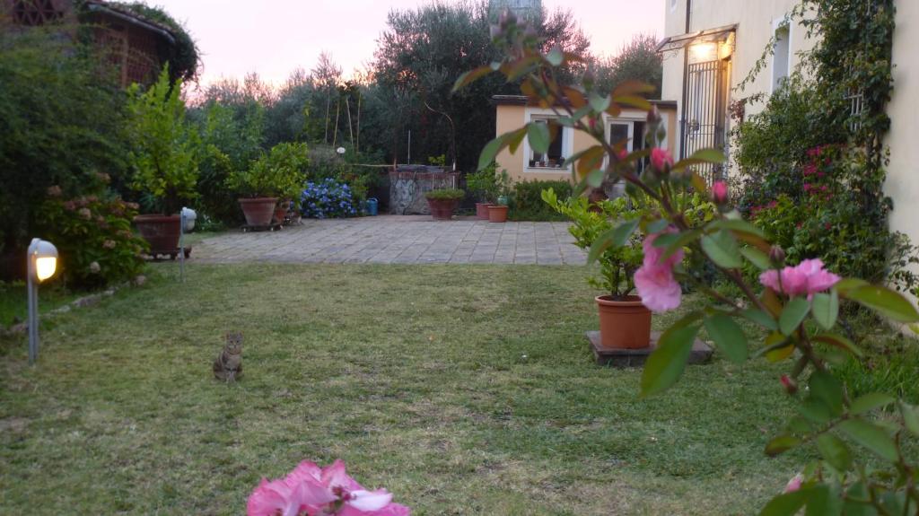 Zahrada ubytování Casa Marcè a "Sonno"