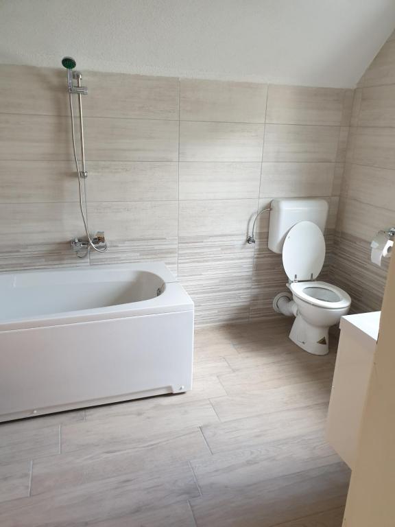 Koupelna v ubytování Room Sodja