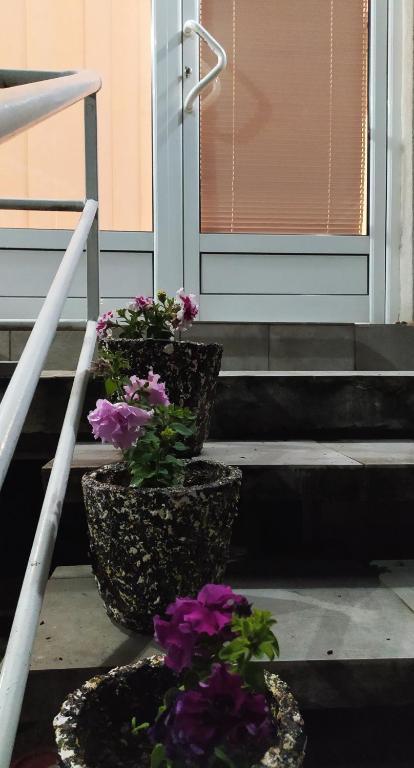Φωτογραφία από το άλμπουμ του Apartman Todorovic σε Jagodina