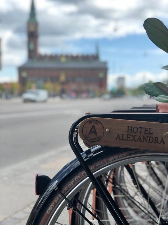 Jízda na kole v ubytování Hotel Alexandra nebo okolí
