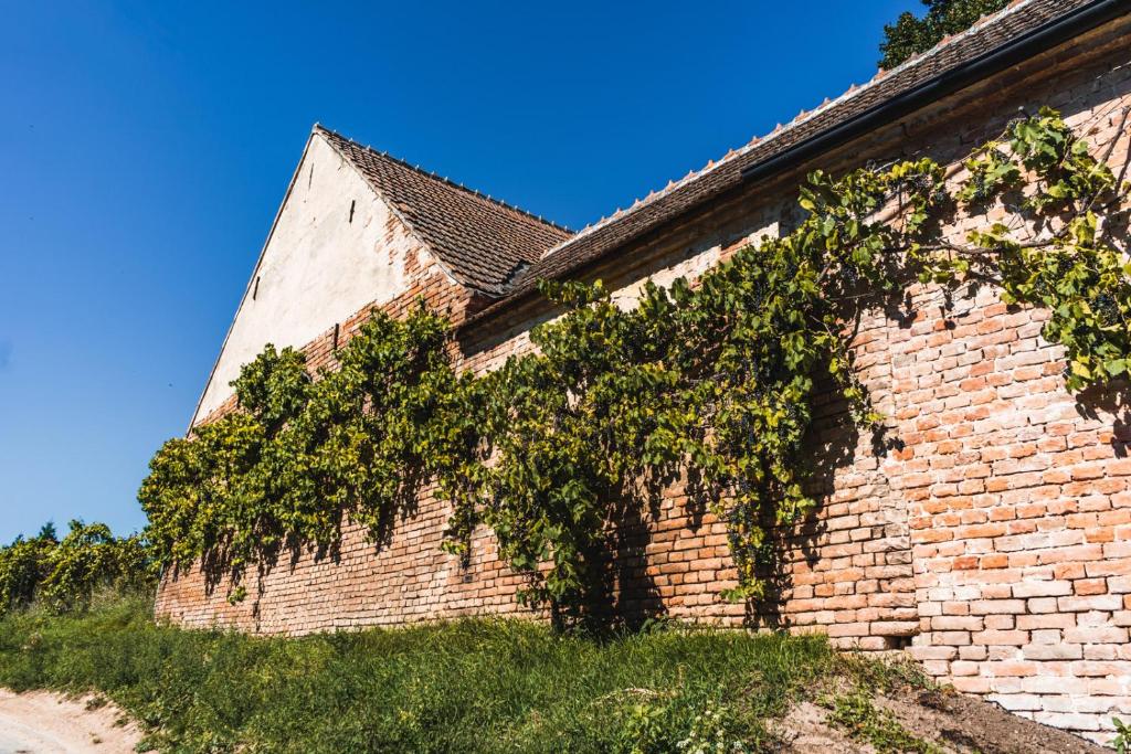 Fotografie z fotogalerie ubytování Apartmány Pulgary v destinaci Bulhary