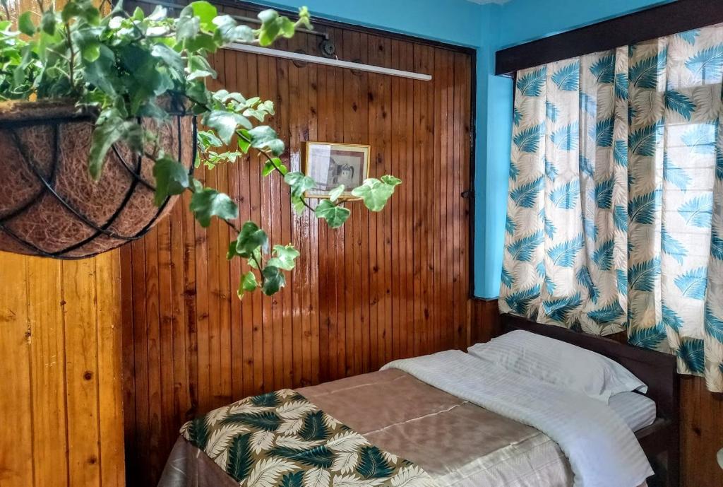 Postel nebo postele na pokoji v ubytování West Point Backpackers Hostel