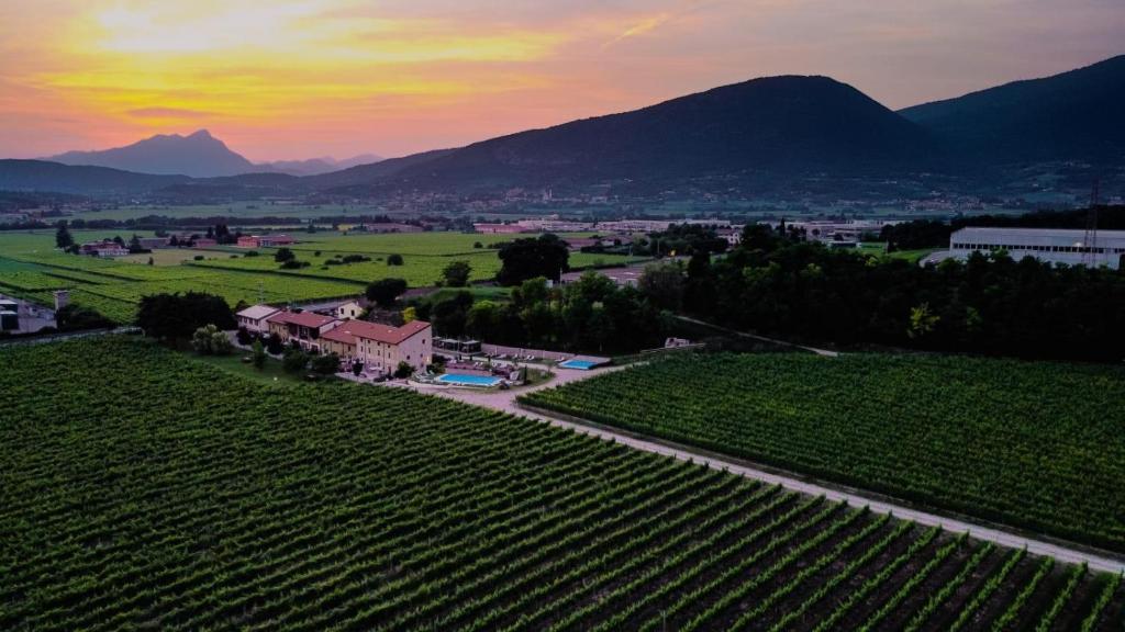 una vista aérea de un viñedo al atardecer con montañas en Agriturismo Corte Patrizia en Caprino Veronese