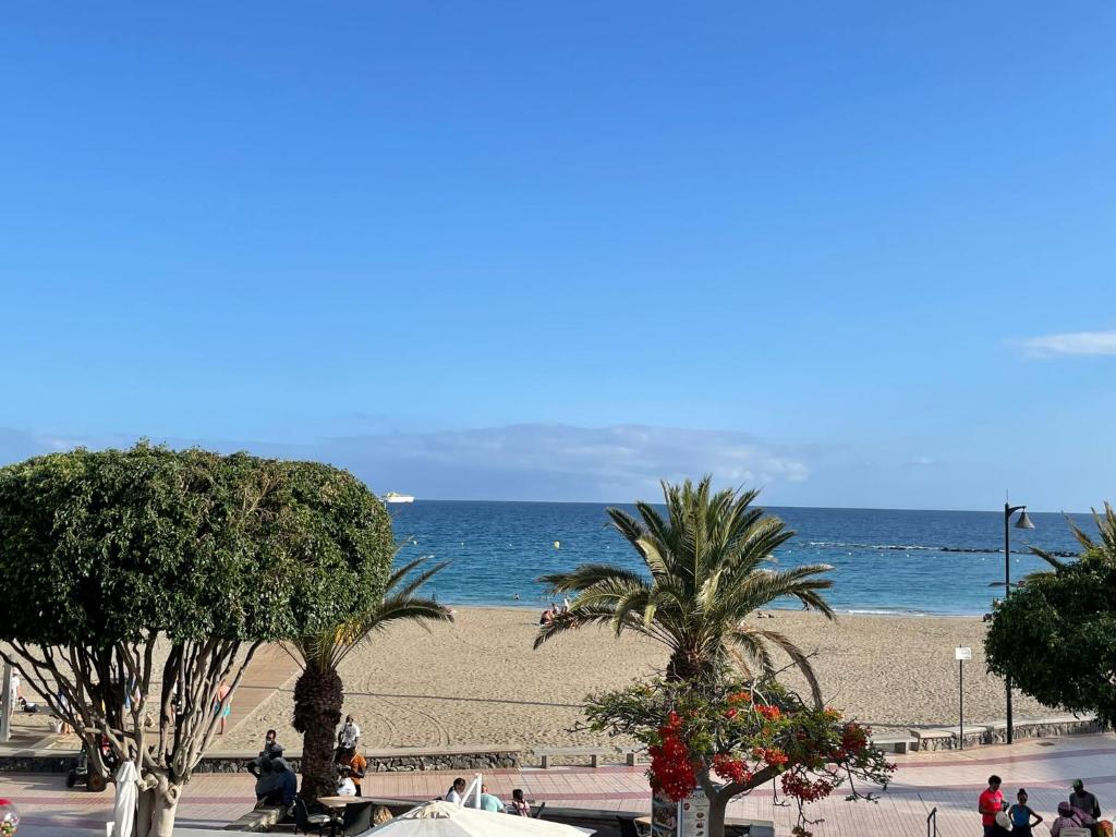 アロナにあるPlaya de las Vistas Los Cristianos WIFI BEACH VIEWのヤシの木と海のビーチ