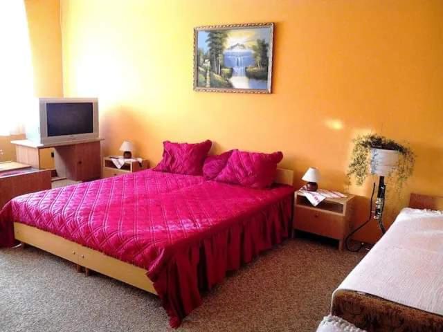 1 dormitorio con cama rosa y TV en Privát, saját fürdős, erkélyes szoba a Balatonon, en Kőröshegy