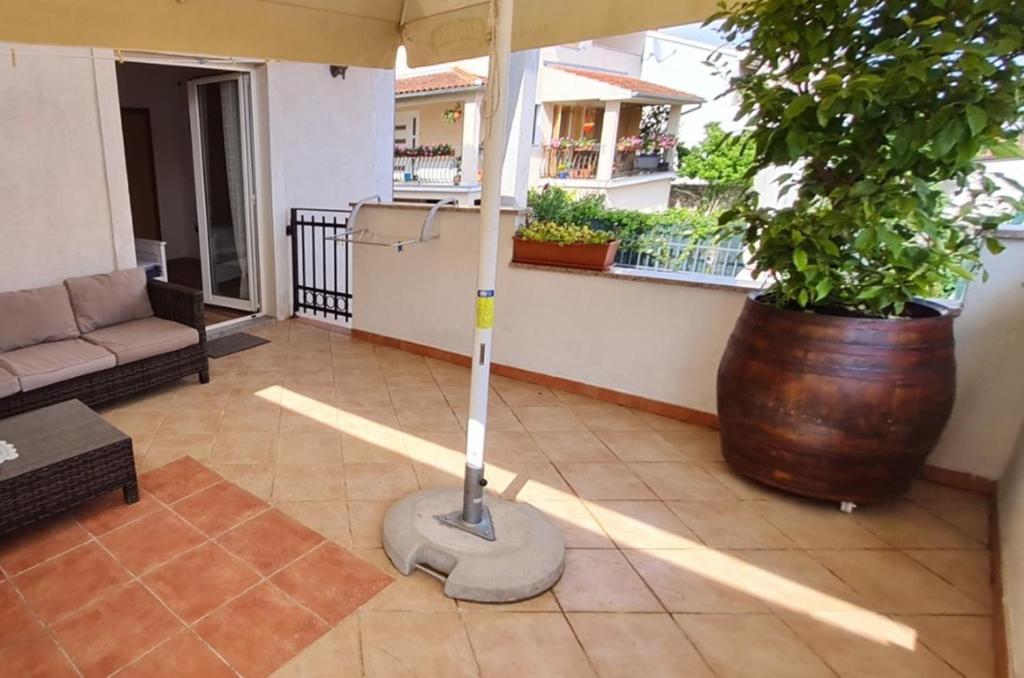 Guest House Casa Mia - Rooms & Apartments - 19