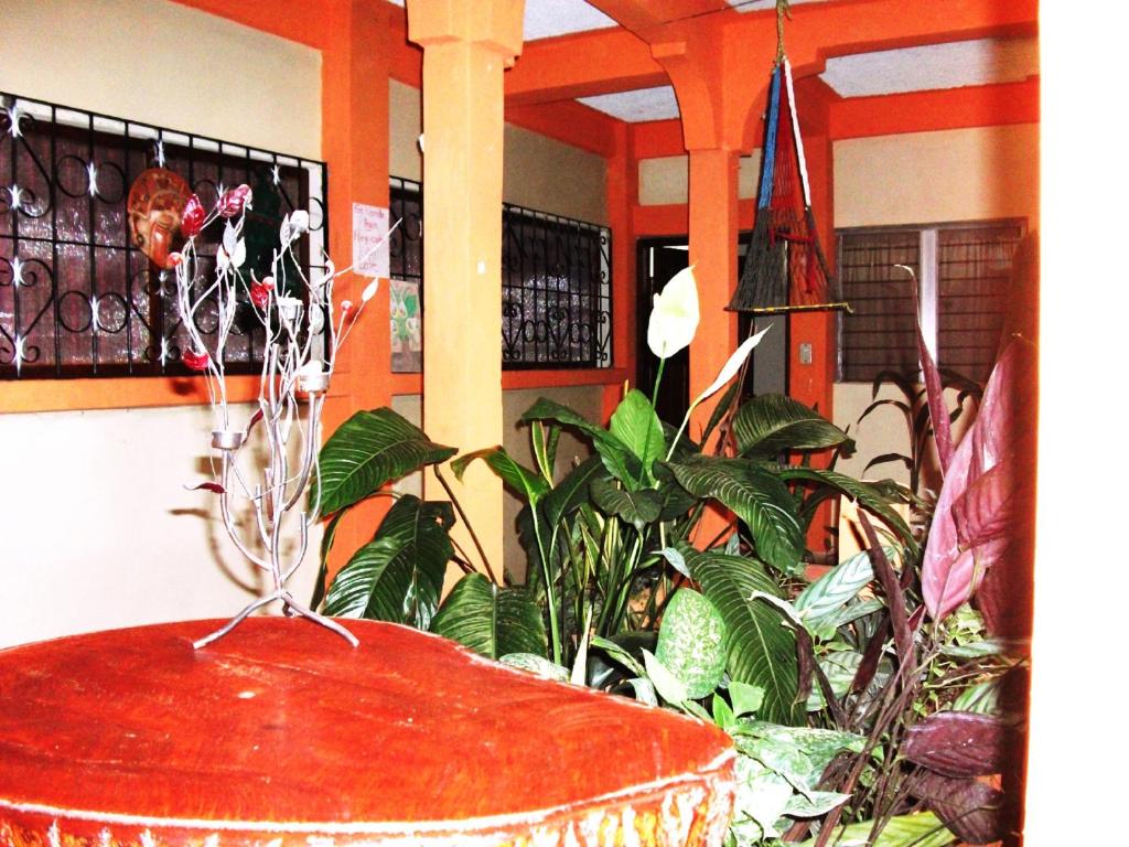 Fotografie z fotogalerie ubytování Hotel & Hostal Yaxkin Copan v destinaci Copan Ruinas