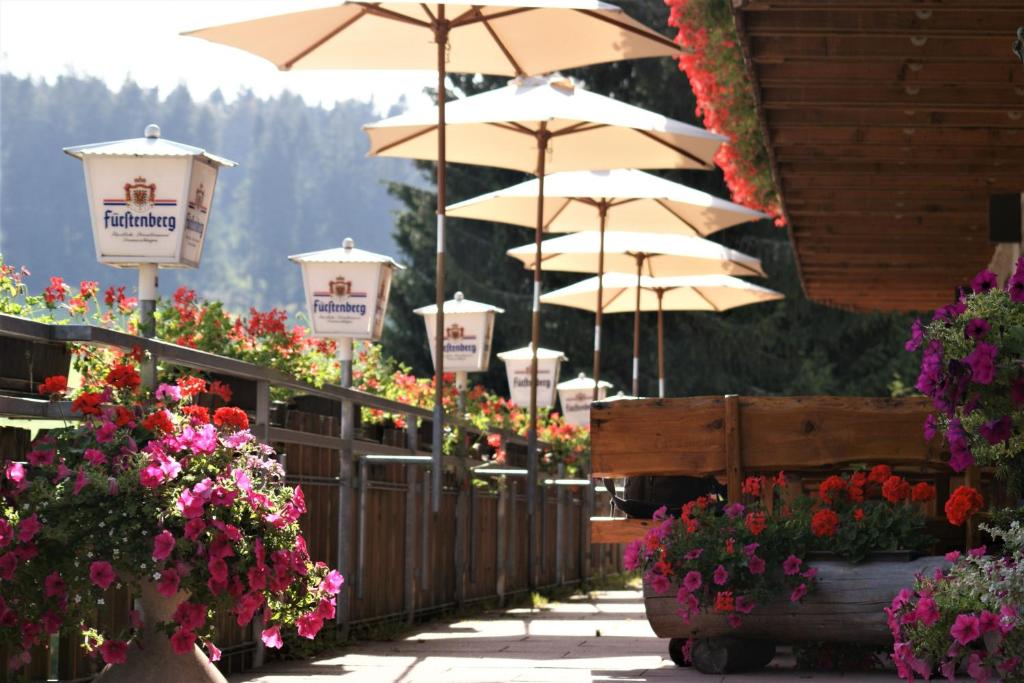 Fotografie z fotogalerie ubytování ZUR TRAUBE Schwarzwaldhotel & Restaurant am Titisee v destinaci Titisee-Neustadt