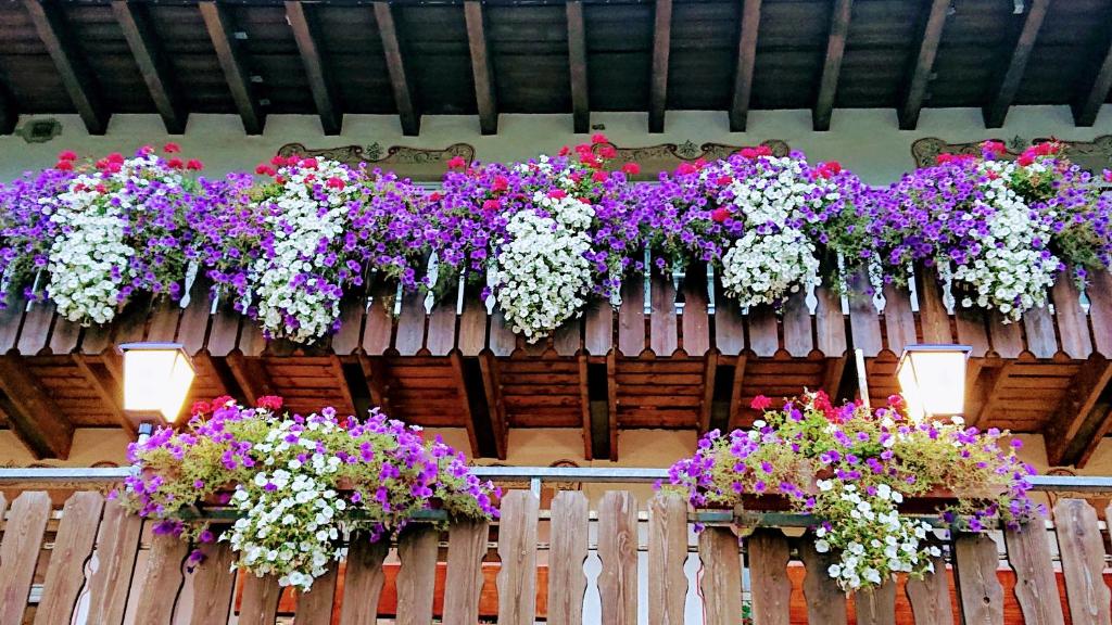 Zahrada ubytování ZUR TRAUBE Schwarzwaldhotel & Restaurant am Titisee