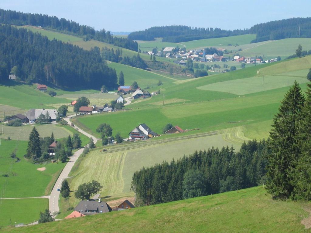 Příroda nedaleko hotelu