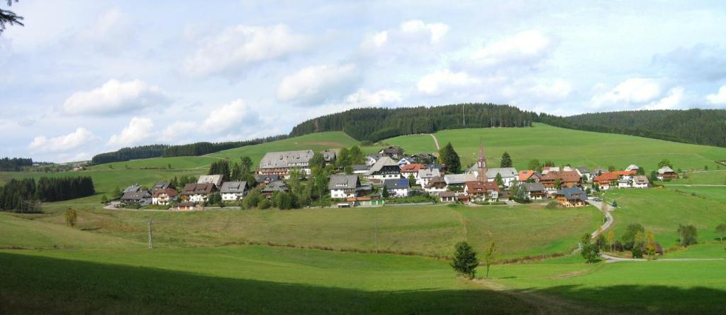 Příroda nedaleko hotelu