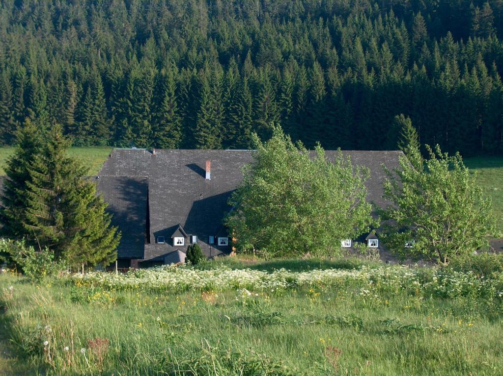 Příroda nedaleko hotelu