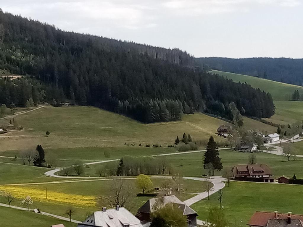 Příroda nedaleko hotelu