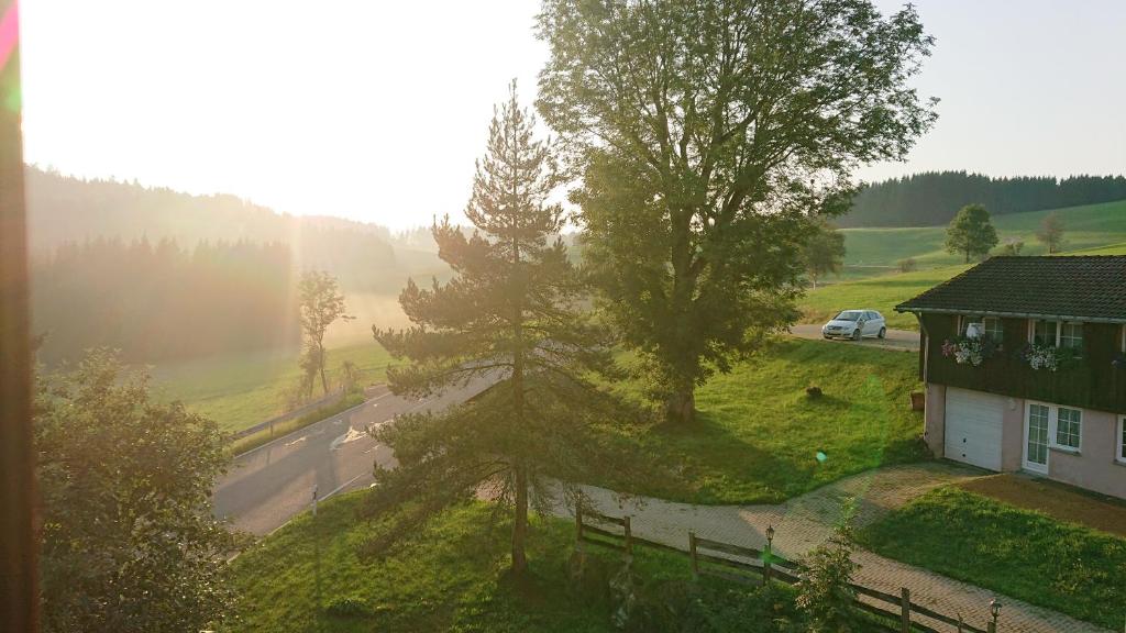 Příroda nedaleko hotelu