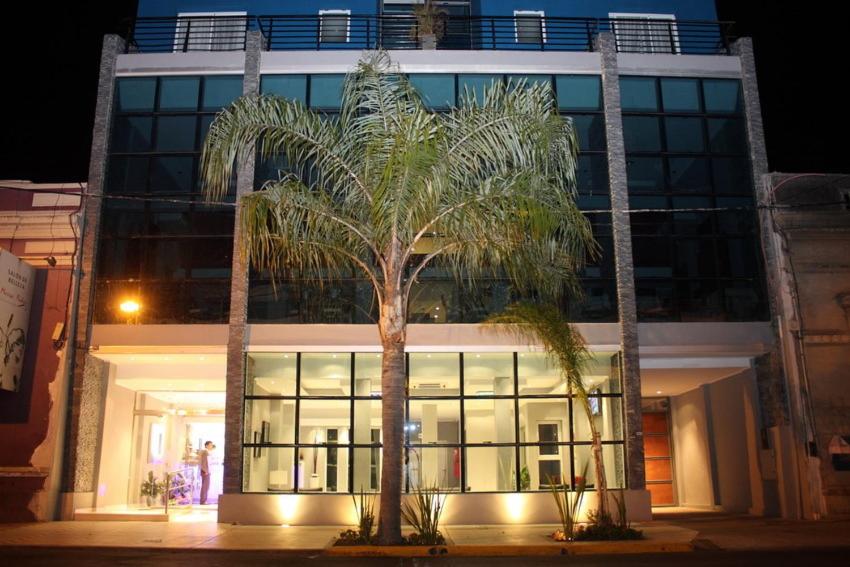 a palm tree in front of a building at Hotel Identidad in Corrientes