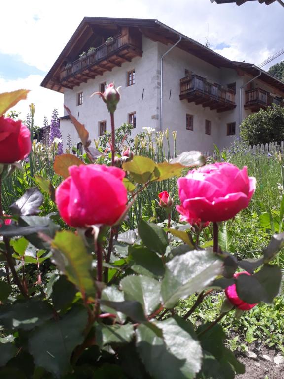 Zahrada ubytování Schrotthof