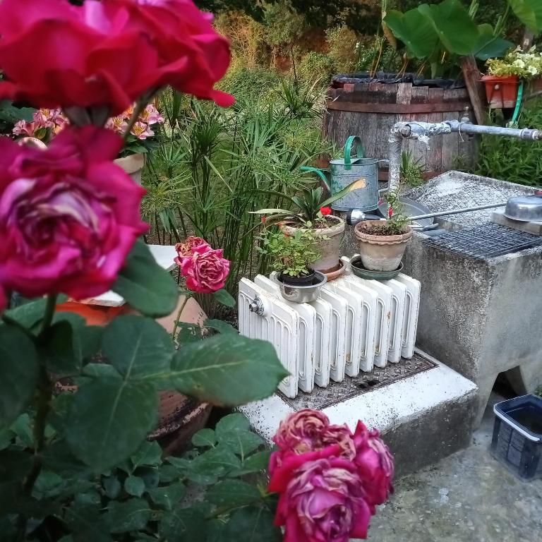 Zahrada ubytování Tra grilli e cicale