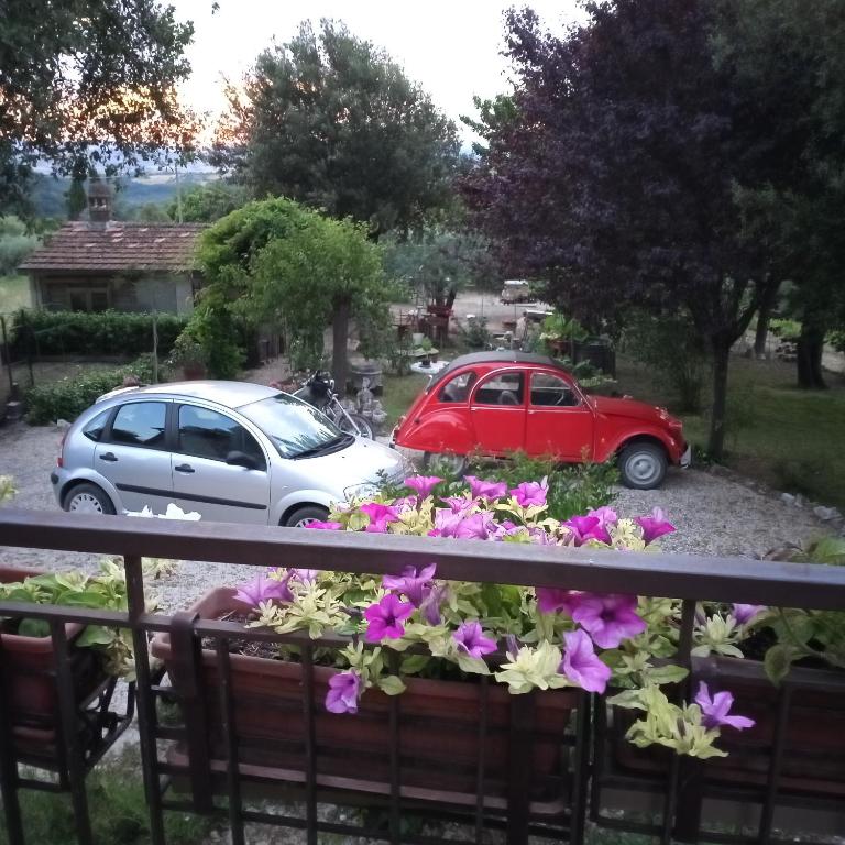 Zahrada ubytování Tra grilli e cicale