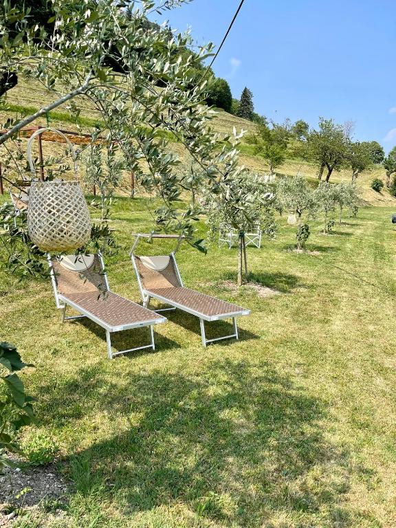Ogród w obiekcie Borgo Cantagallo Casa Olivia 1