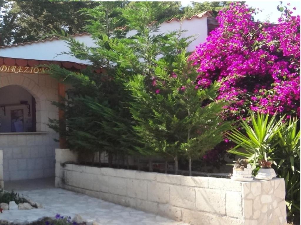 a retaining wall with pink flowers in front of a house at Althea Village Residence in Vieste